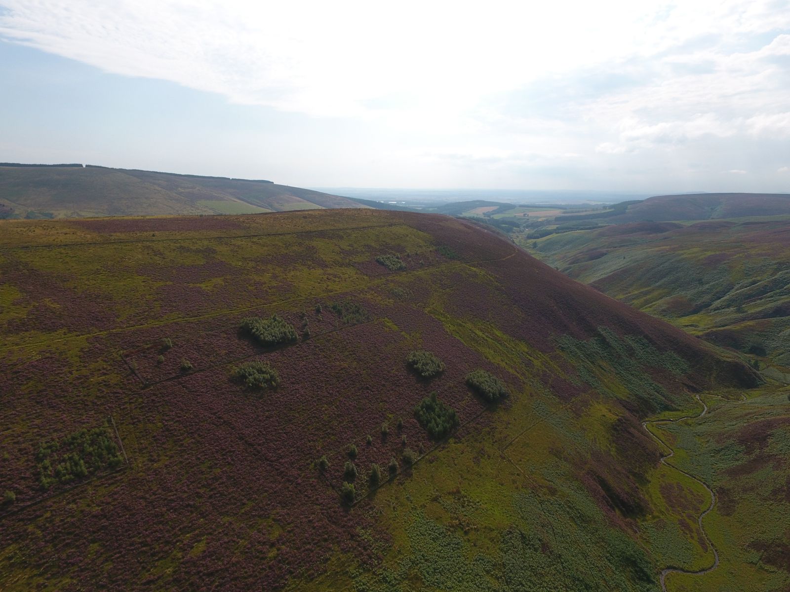  Arial view of experiment plots at Glensaugh.  Photo credit Damian Bienkowski 
