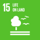 Sustainable Development icon: life on land Sustainable Development icon: life on land