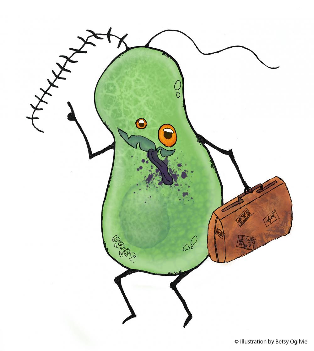 Hatch, biosecurity cartoon character