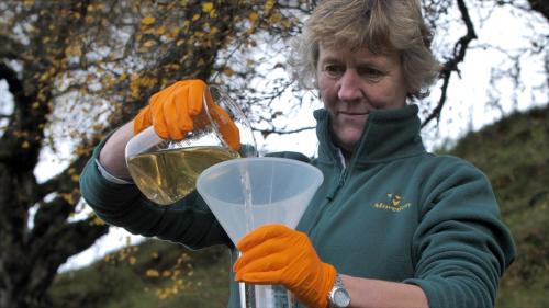 SEFARI researcher analysing water quality