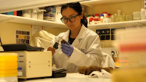 Female scientist working the labratory