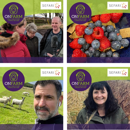 Four images of farmers and farm produce
