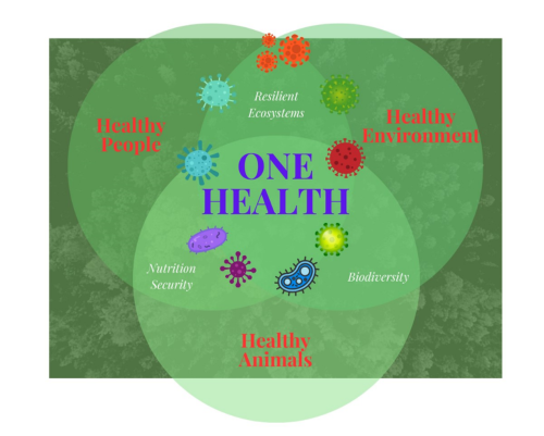 Microbial ecosystems and One Health 