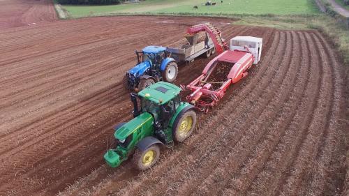 Potato Harvesting