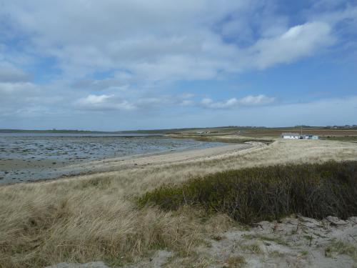 Rural Island Shoreline