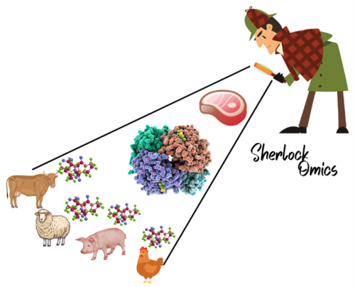 Cartoon Sherlock investigating meat proteomics