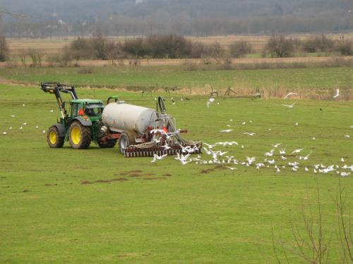 Slurry Spreader