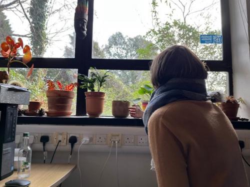 Student Chiara looking at plants on a windowsill