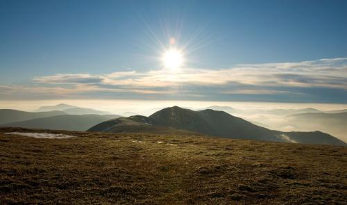 Sunny mossy landscape