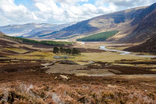 landscape of cairngorms national park