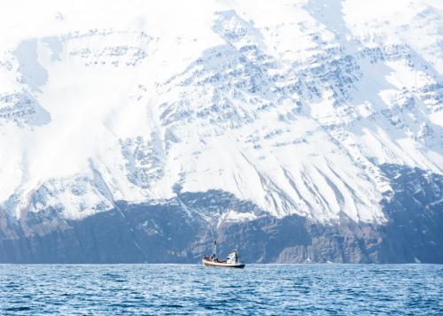 winter scene of knoydart sea in scotland