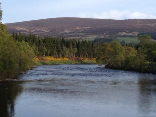 Image showing a body of water surrounded by trees