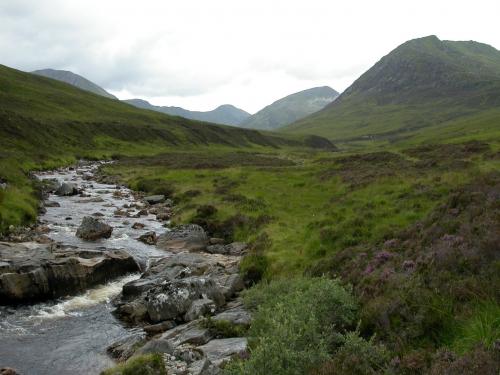 Scottish Rural Landscape
