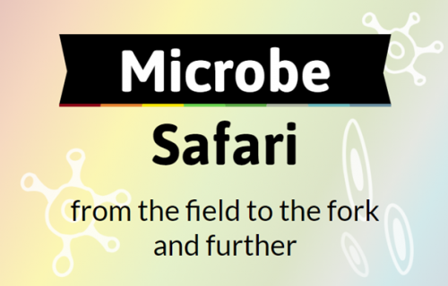 Microbe Safari Web Page