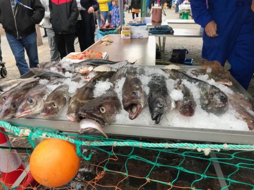 Peterhead fish market stall. Photo Credit: Wendy Russell