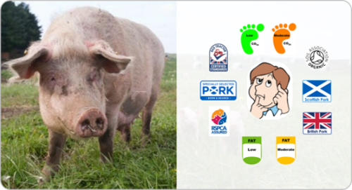 A pig and an infographic of the consumer considering different pork labels 