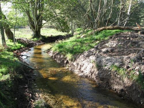 The River's Course: The Logie