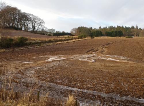 Soil erosion in a field