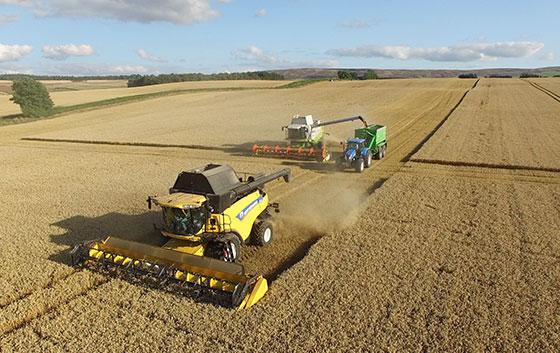 Image showing two agricultural combines harvesting an arable crop