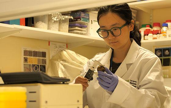 Female Researcher Working in the Lab