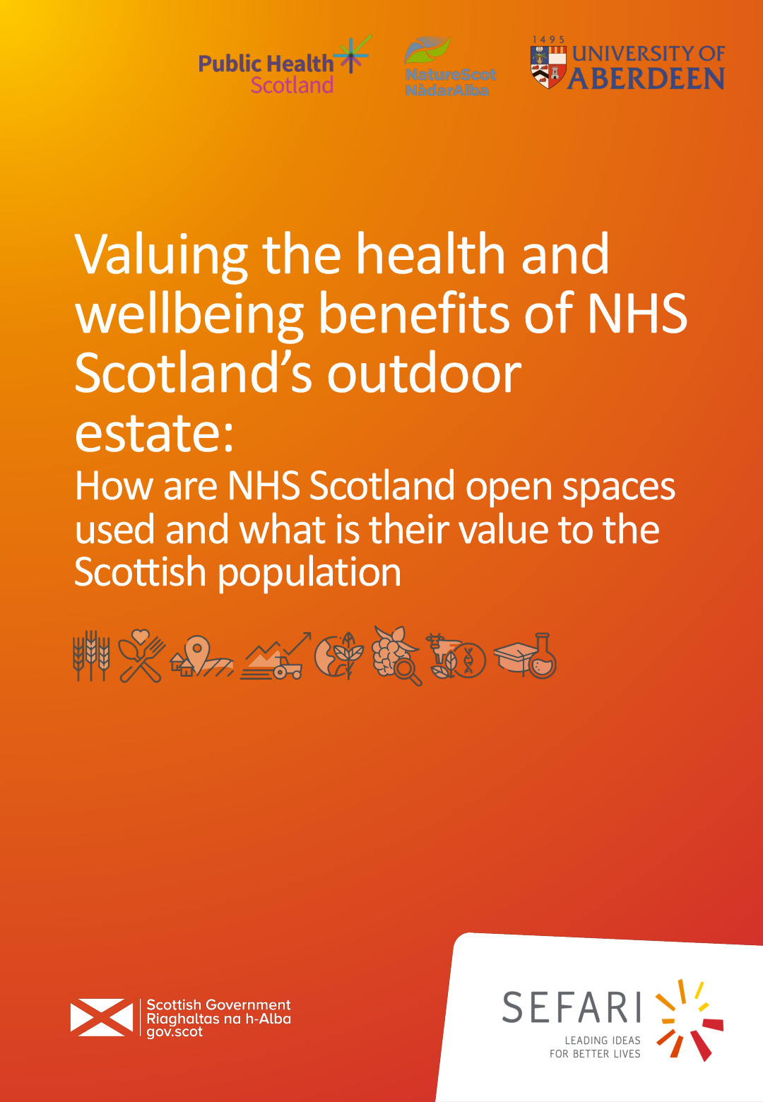 Report - NHSS Outdoor Estate Value.pdf