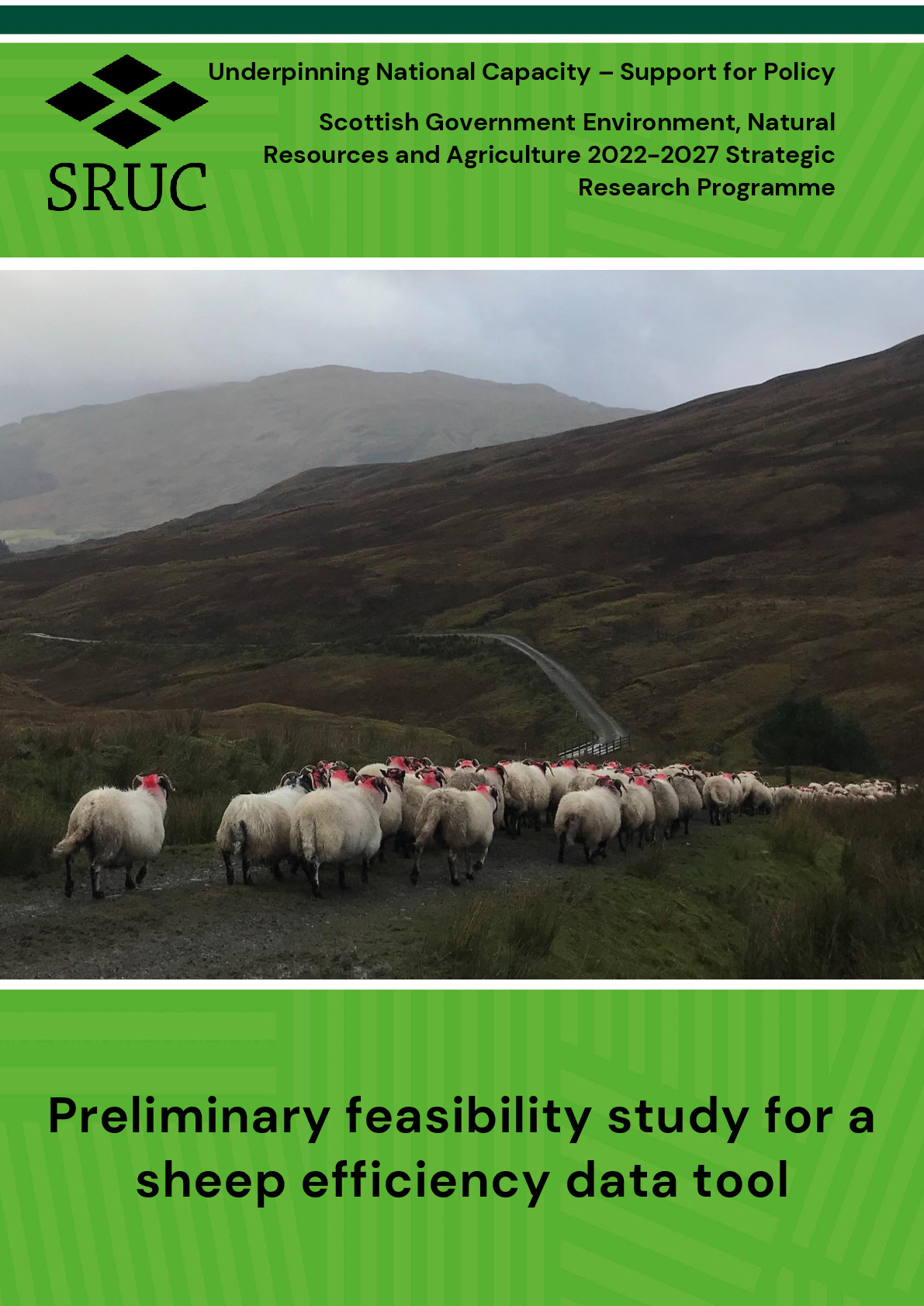 Preliminary feasibilty study for a sheep efficiency data tool - SRUC SEFARI.pdf