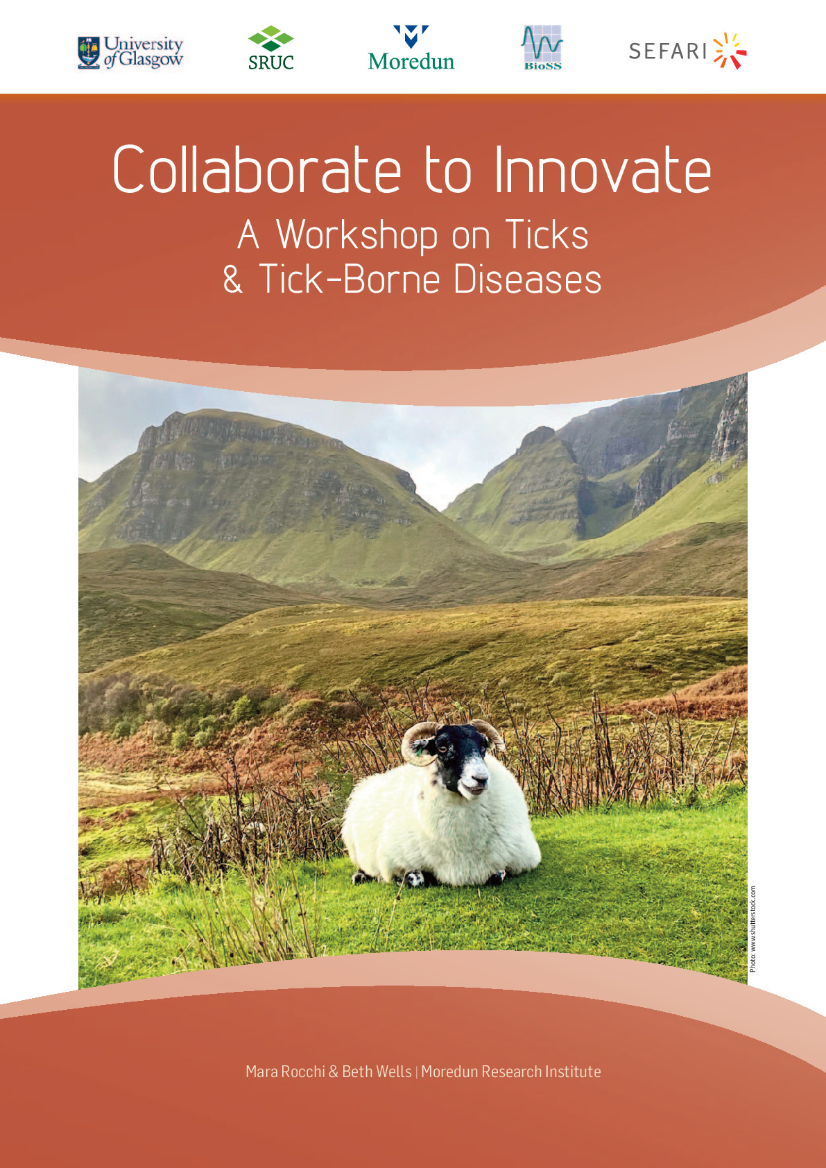 A4 tick workshop report-4_protected.pdf