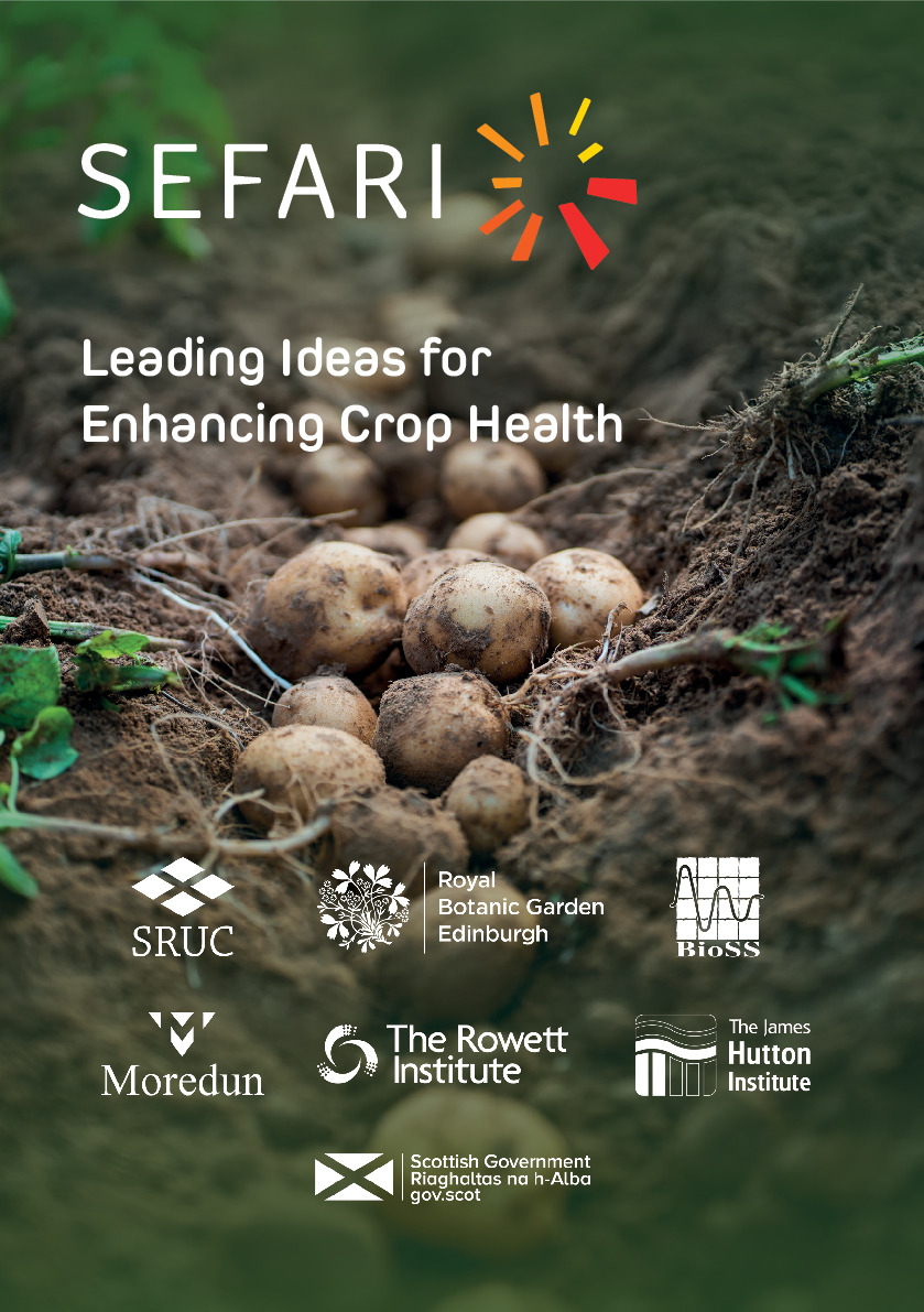 SEFARI Spotlights - Leading Ideas for Enhancing Crop Health booklet 0905.pdf