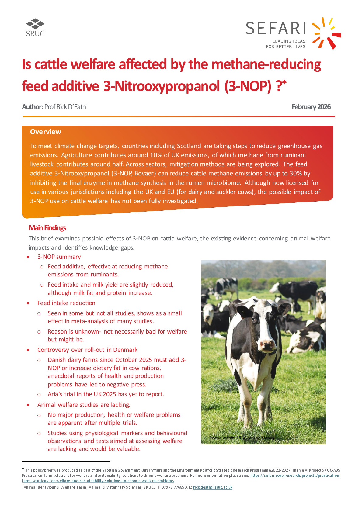 3NOP welfare policy brief SEFARI v4.pdf