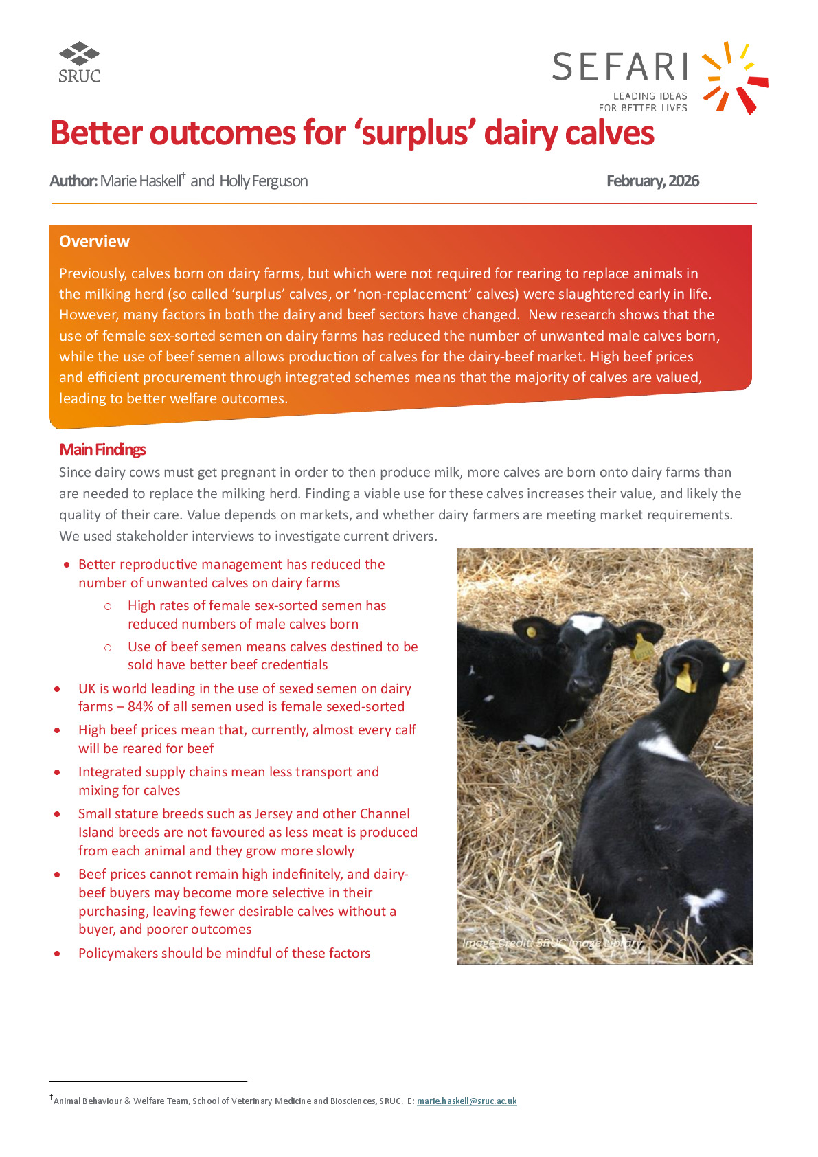 Non-replacement calves brief SEFARI v3.pdf