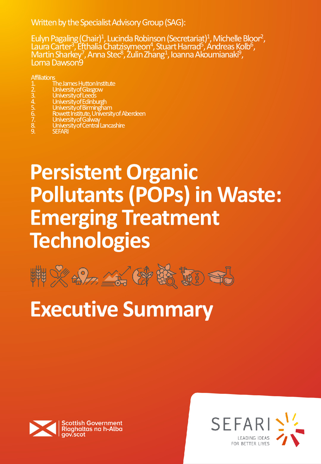 SAG_POP Executive Summary formatted.pdf