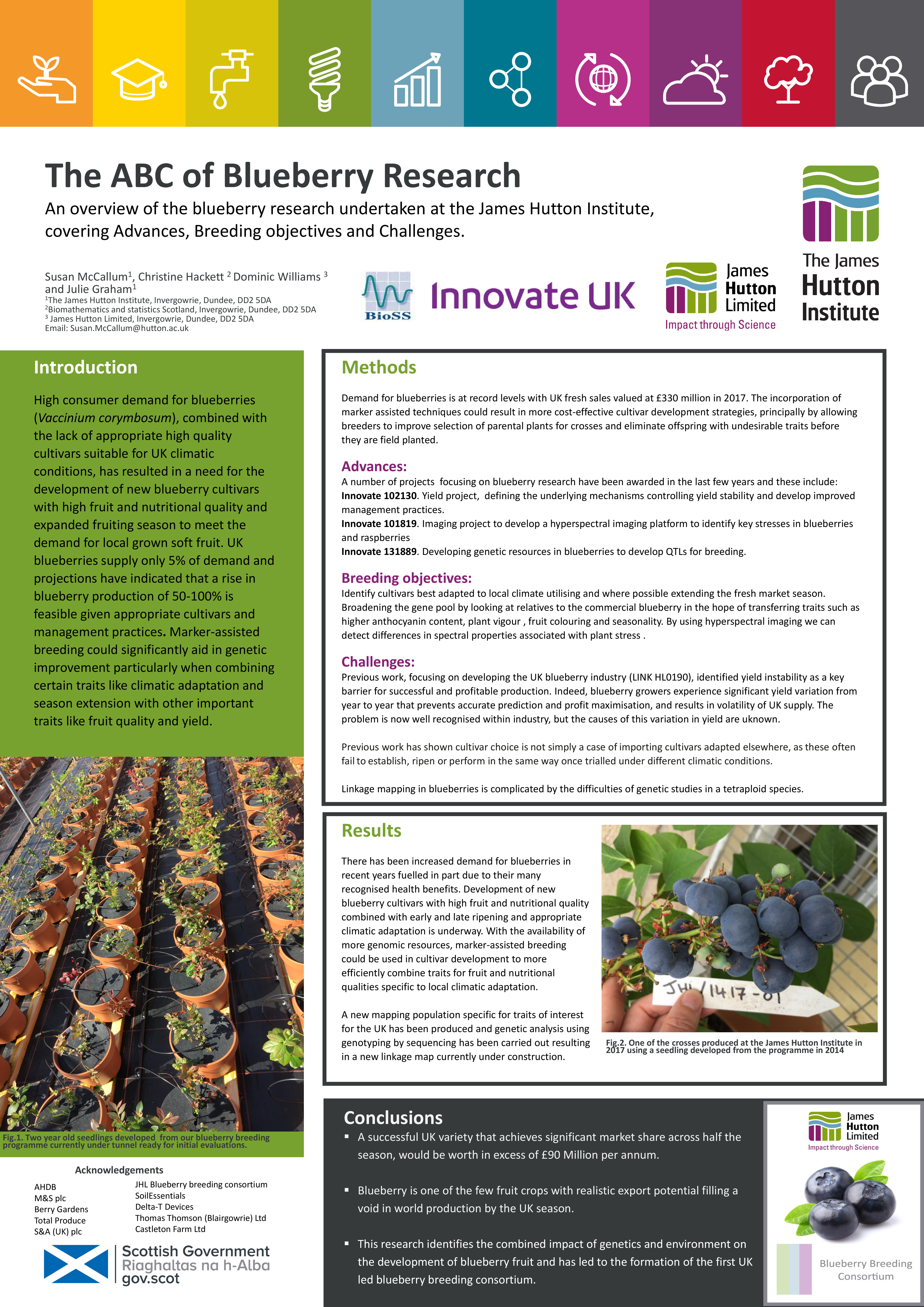 ABC of blueberries poster_McCallum.pdf