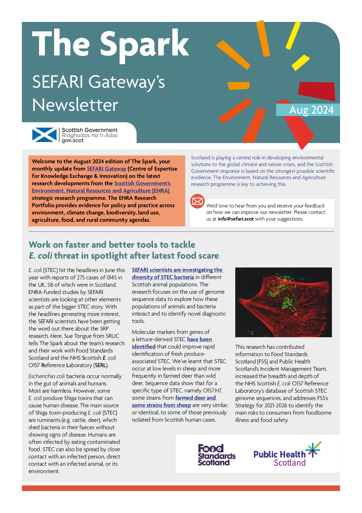 FINAL Spark Aug 24 ONLINE.pdf