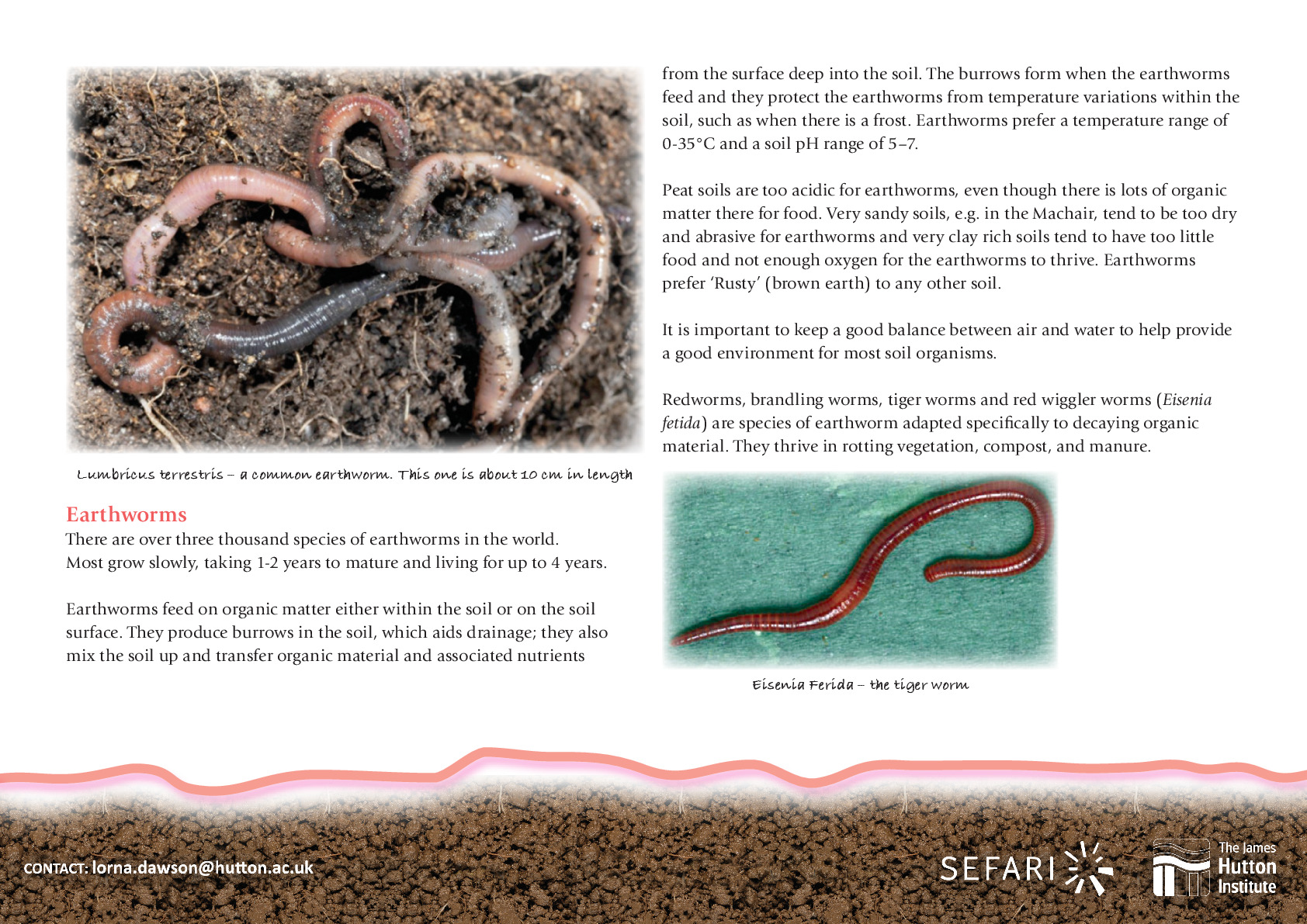 Find out about soil organisms.pdf