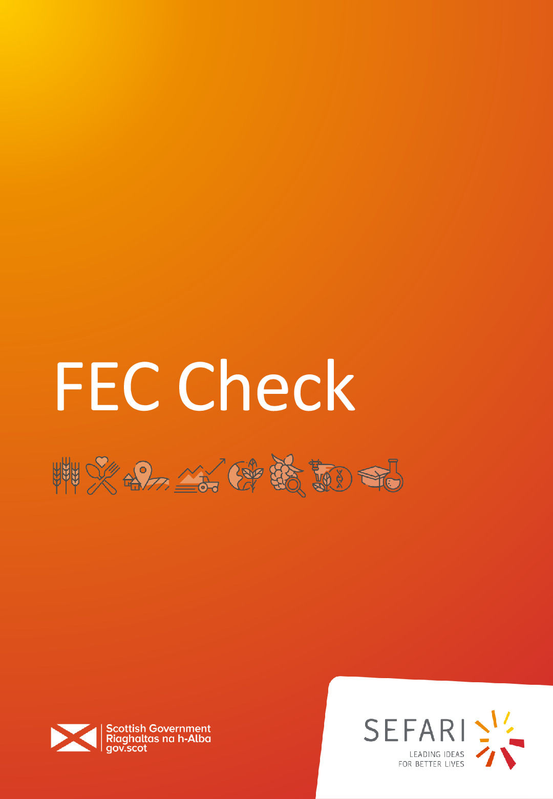 IKE_FEC Report_final_0.pdf