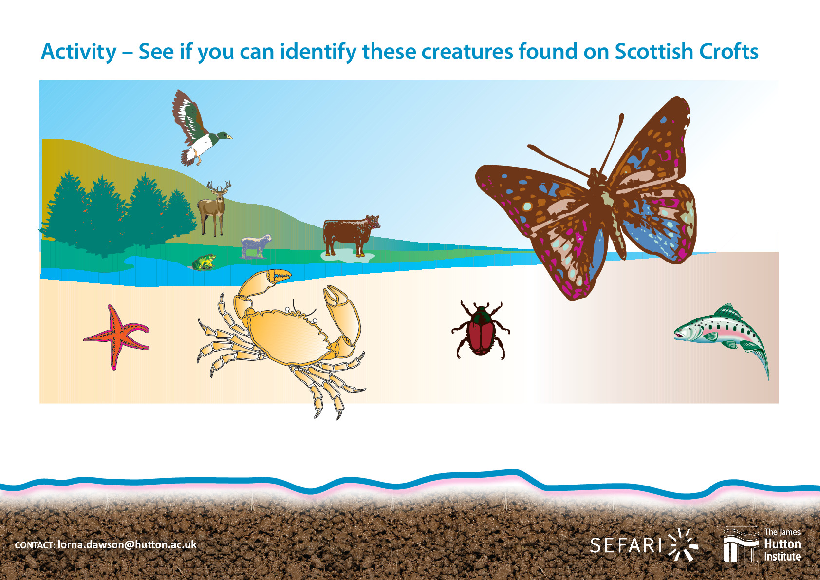 Identify creatures in crofts.pdf