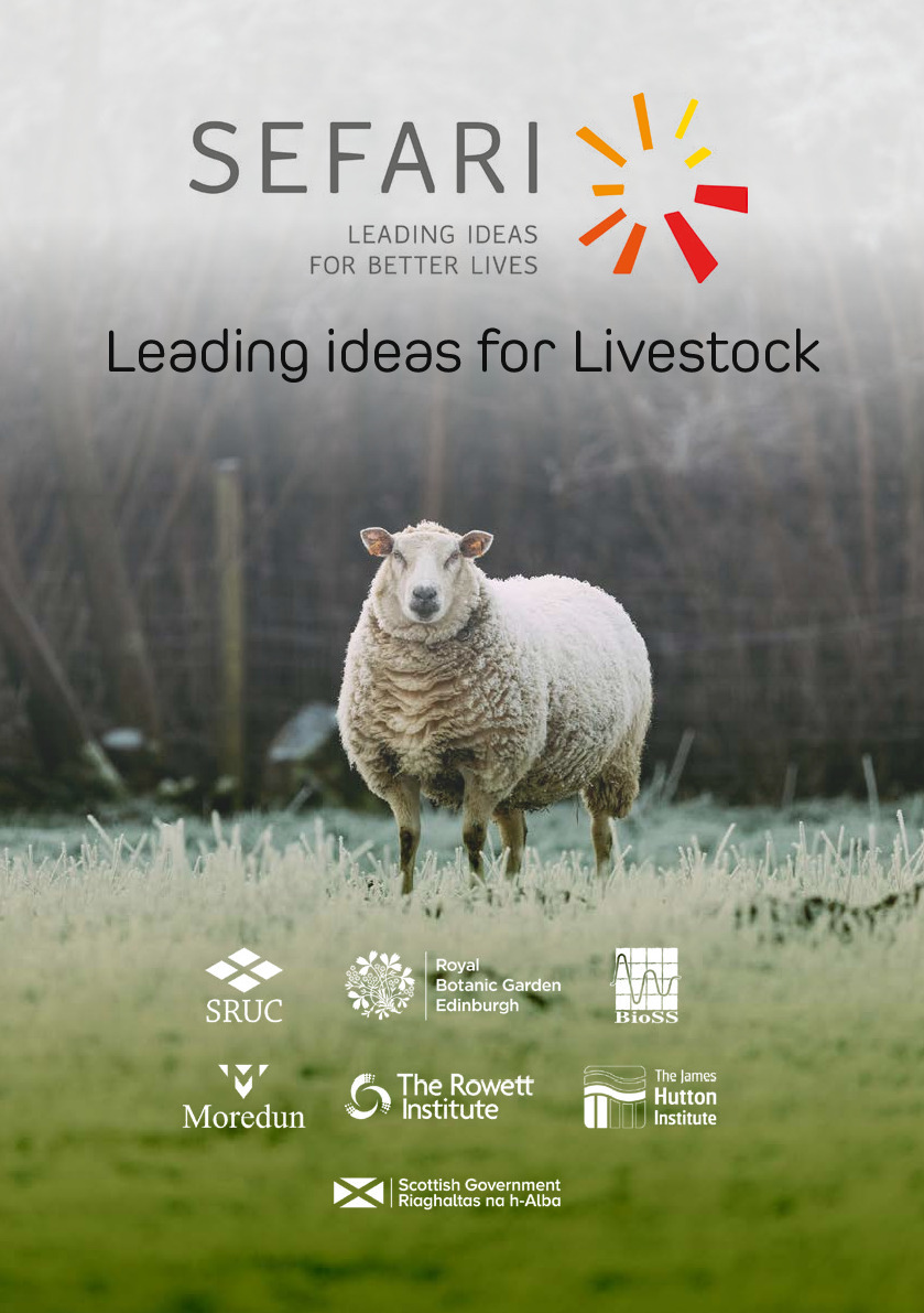 Livestock Booklet 2023 accessible.pdf