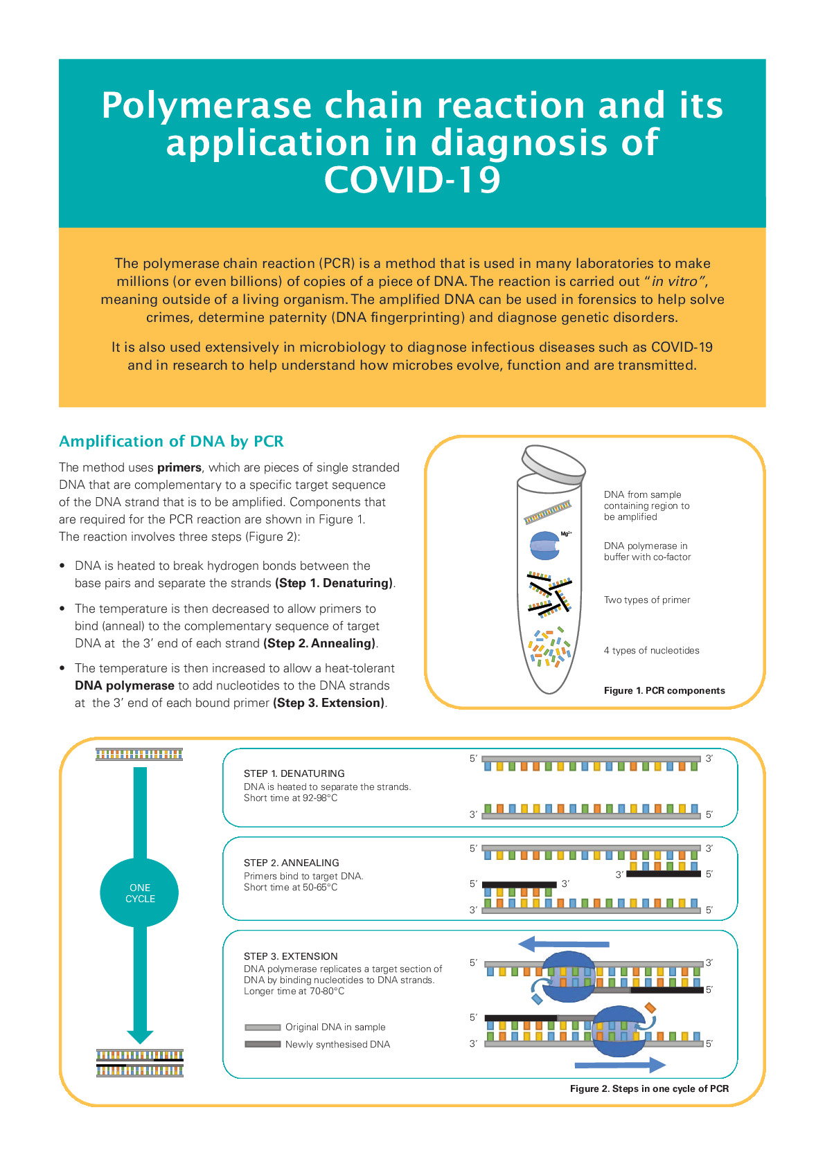 PCR and COVID-19 educational resource_protected_0.pdf