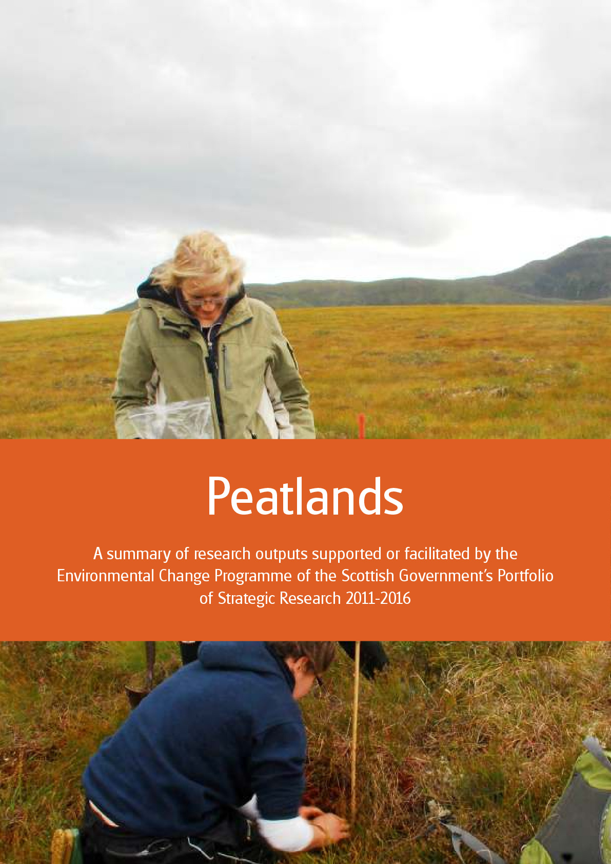 Peatlands_final_web_reduced_size (1)_0.pdf