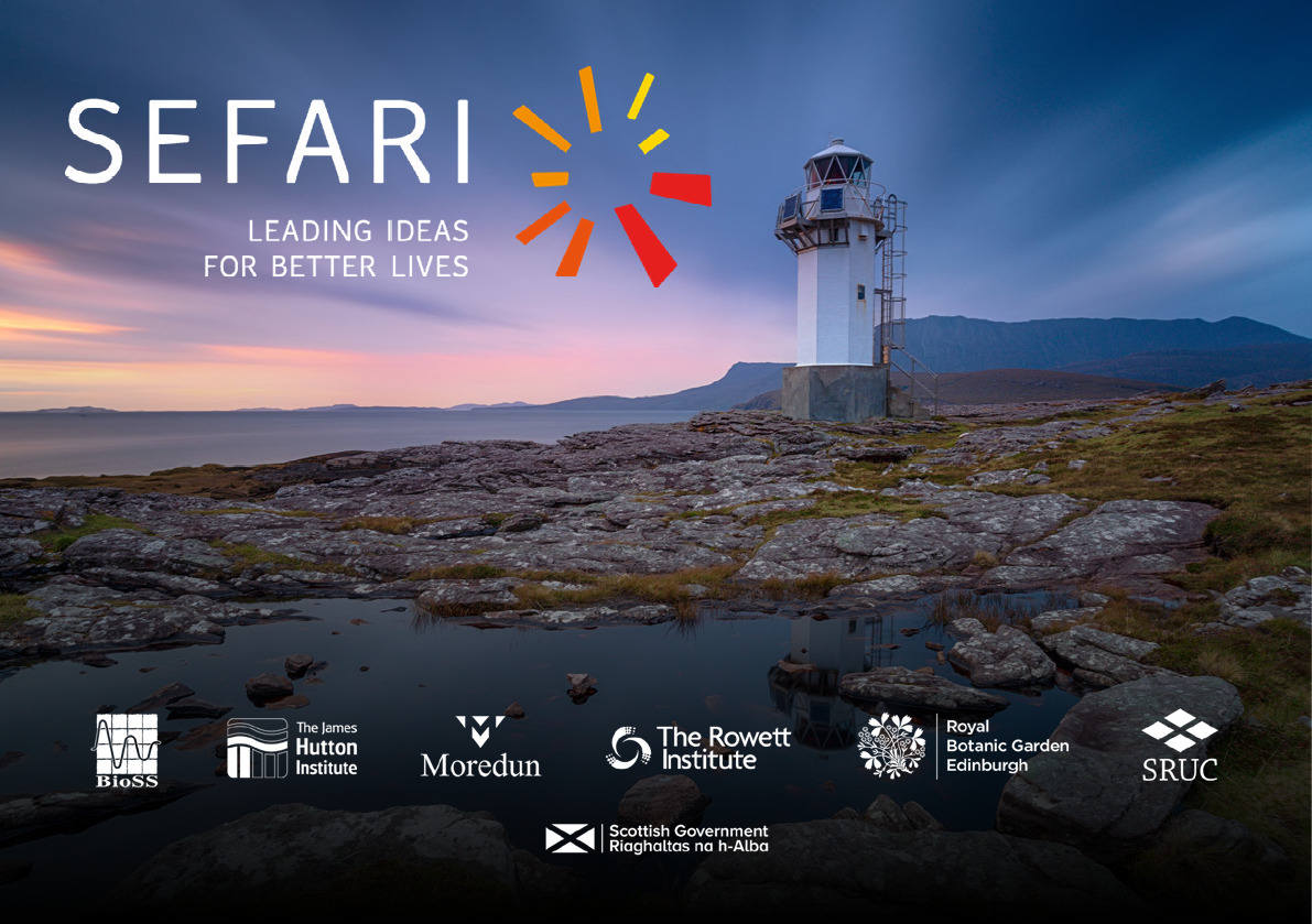 Research Highlights 2020-2021.pdf
