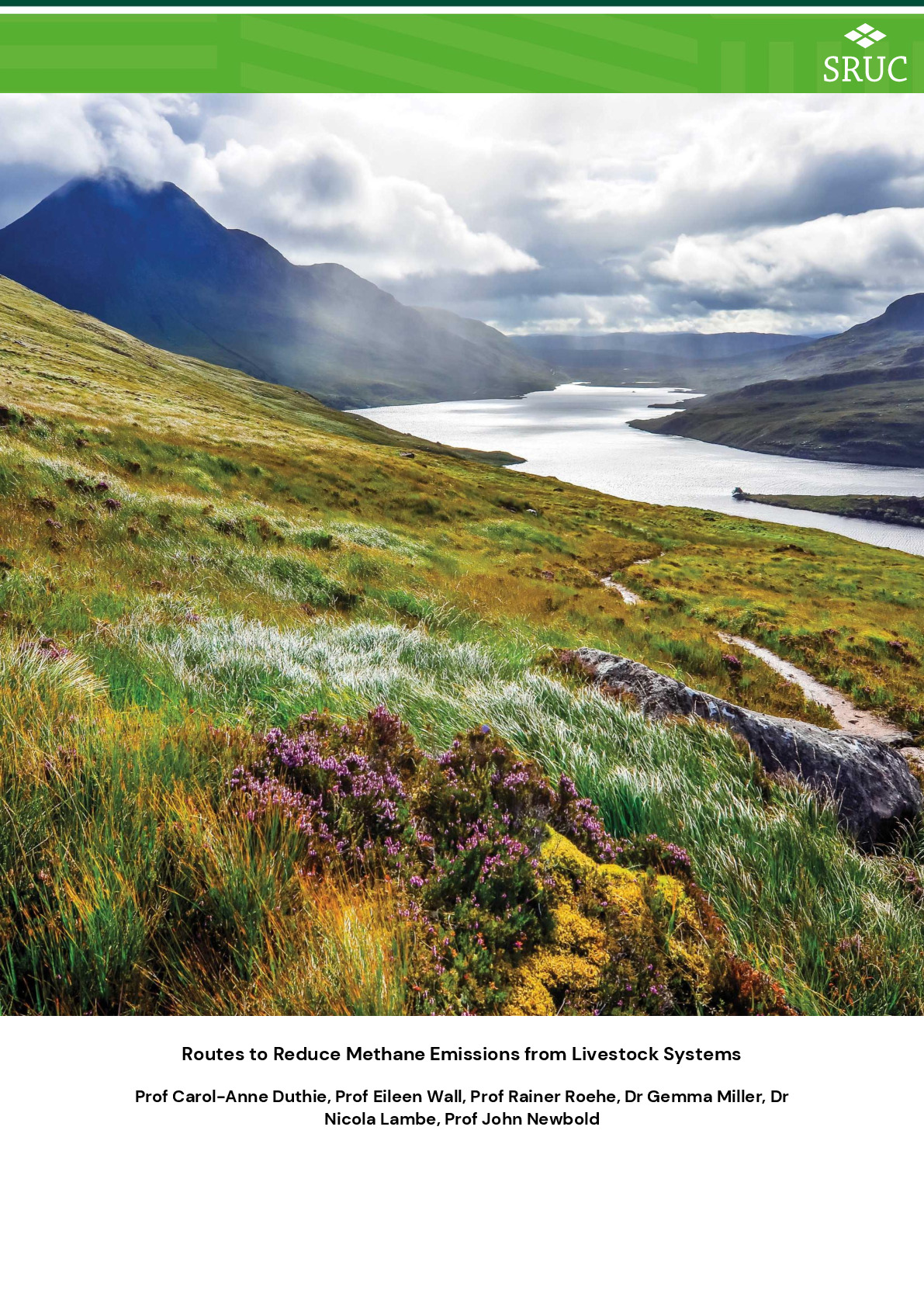 Routes to Reduce Methane Emissions from Livestock Systems - REVISED 181124.pdf