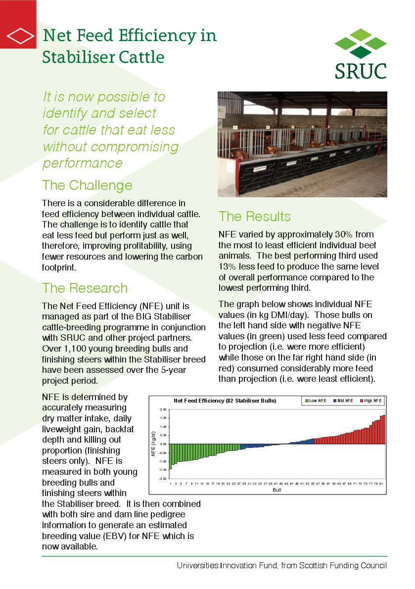 SRUC (2018) Net Feed Efficiency in Stabiliser Cattle.pdf