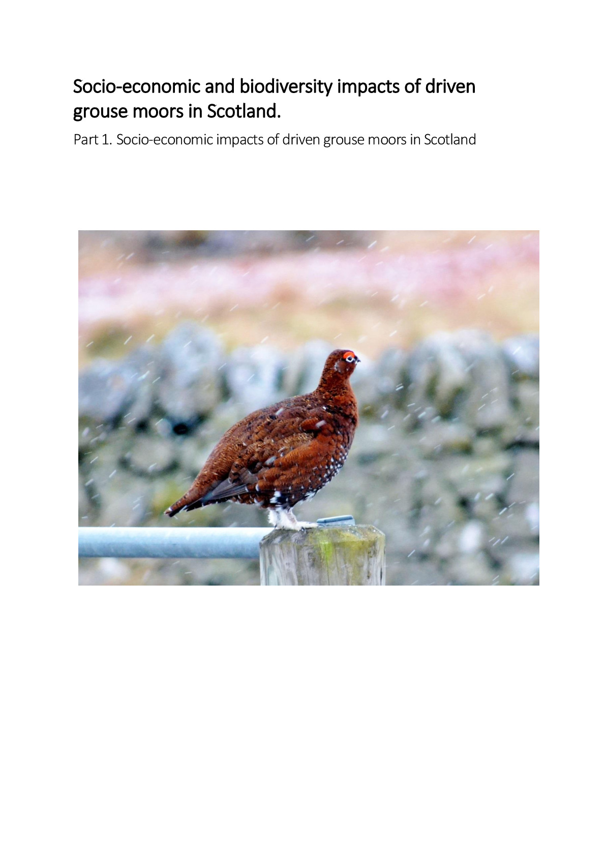 Socio-Economic Report_Final_0.pdf