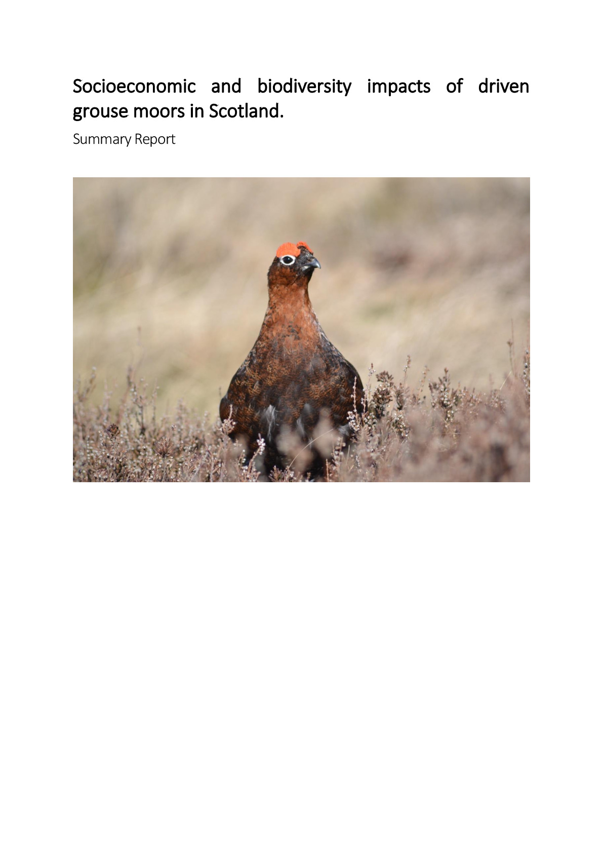 Summary Report_Revised_27-09-2019.pdf