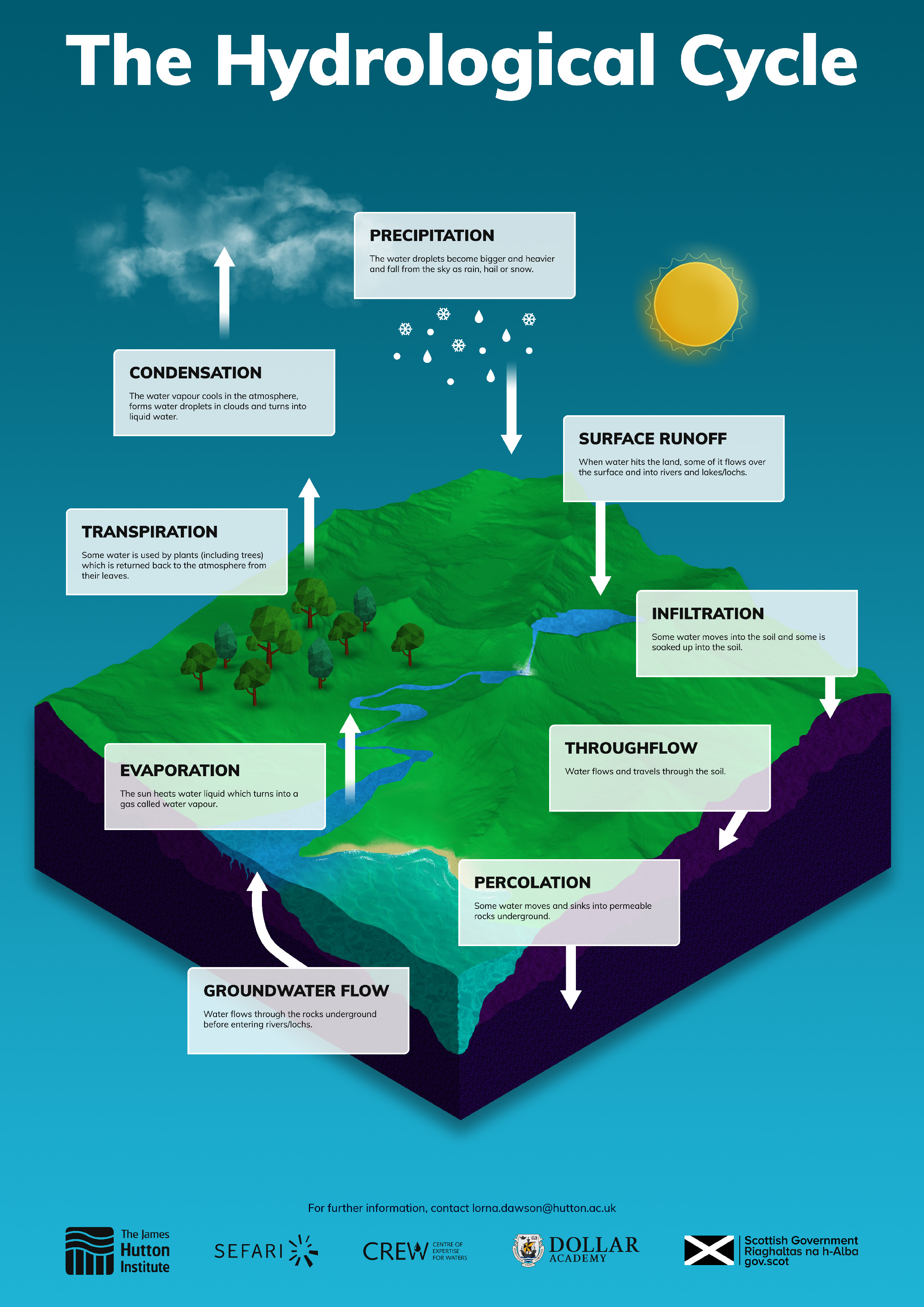 The Hydrological Cycle Poster.pdf