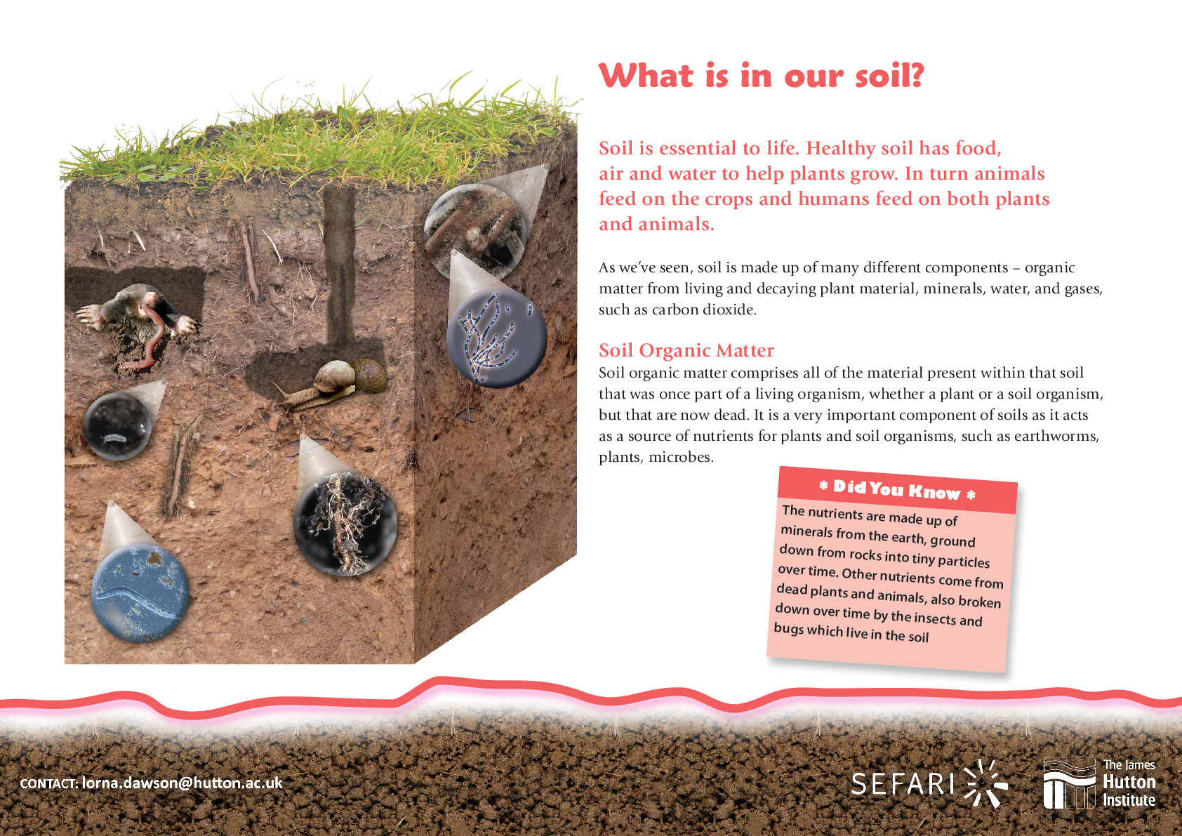 What is in our soil_0.pdf