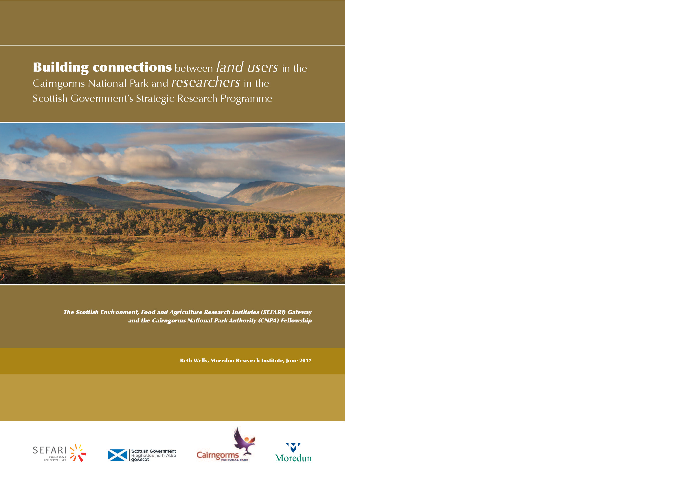fellowship report final.pdf