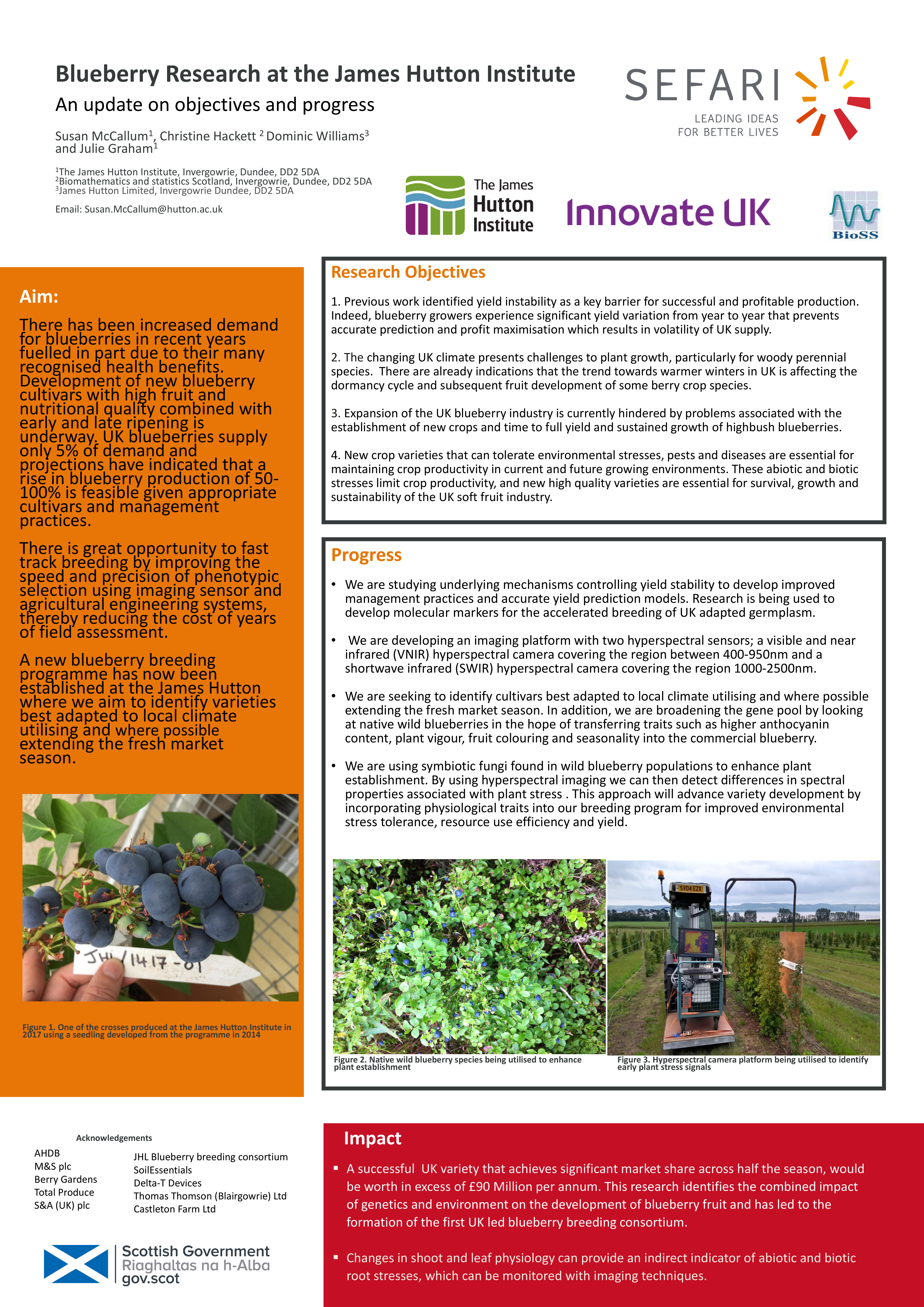 summary-blueberry-research.pdf