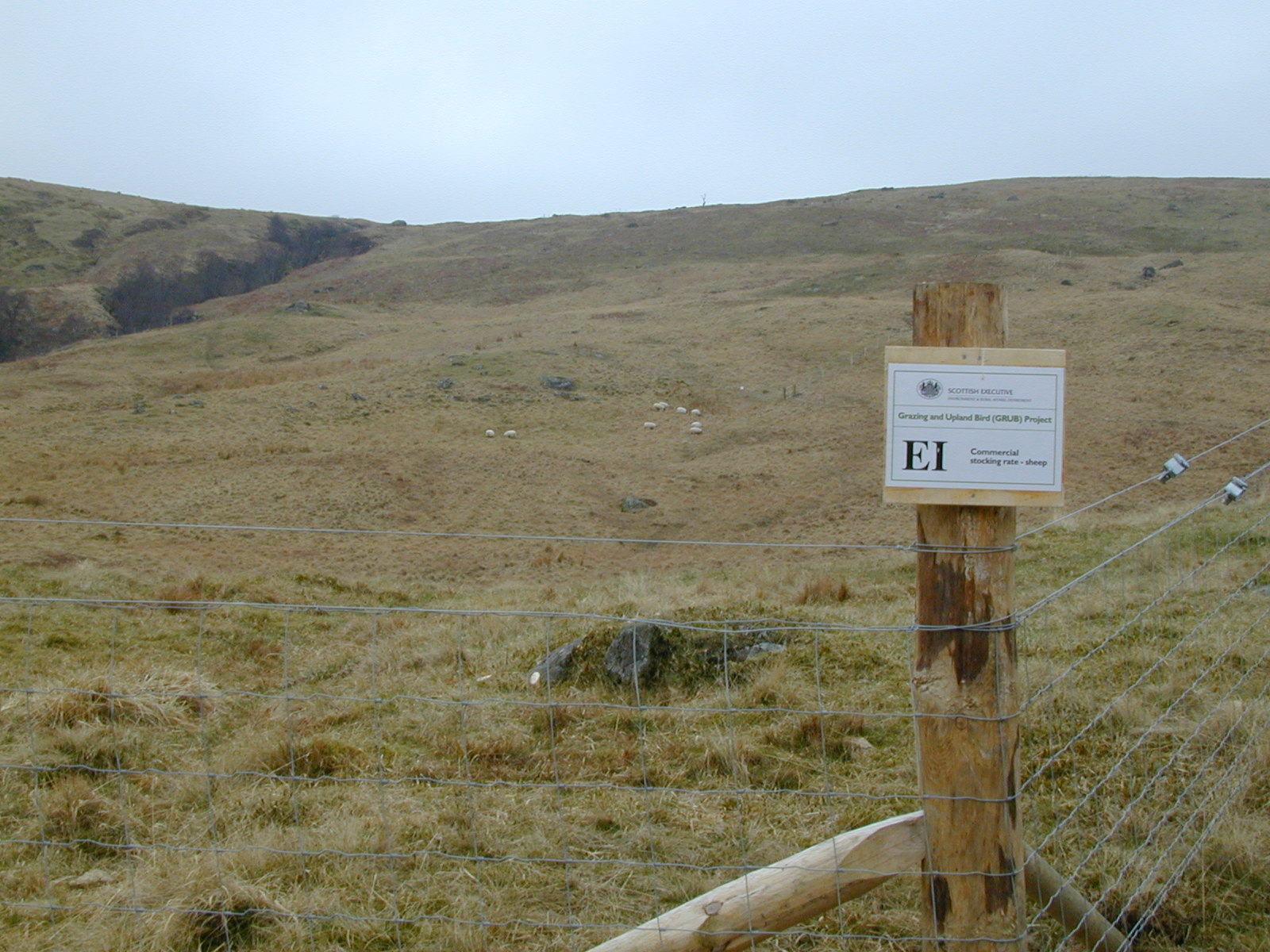 Image 1: A view of blocks E and F in the experiment from the south-east corner of plot EI looking north-west.