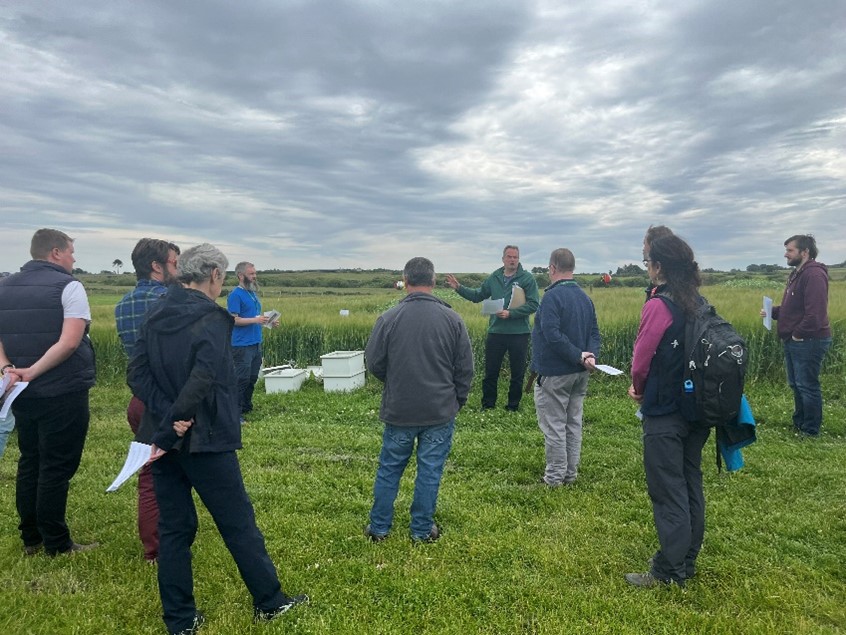 Photo of the ICValues Intercrop trial adjacent to the pHoenix pH long-term experiment being explained to the visitors by Drs Robin Walker and Luke Harrold. Source: Lorna Dawson.